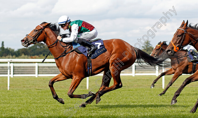 She s-Got-You-0005 
 SHE'S GOT YOU (Kieran O'Neill) wins The Ritz Club British EBF Premier Fillies Handicap
Ascot 7 Sep 2019 - Pic Steven Cargill / Racingfotos.com