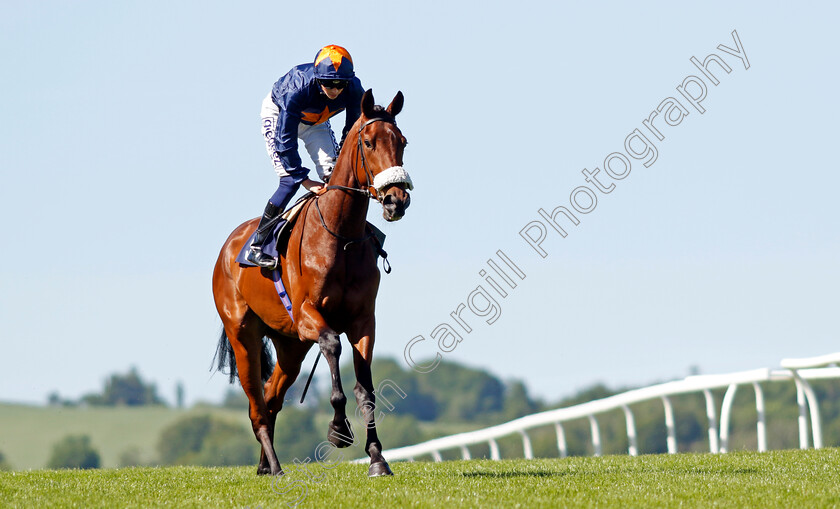 Follow-That-Star-0002 
 FOLLOW THAT STAR (David Probert)
Chepstow 27 May 2022 - Pic Steven Cargill / Racingfotos.com