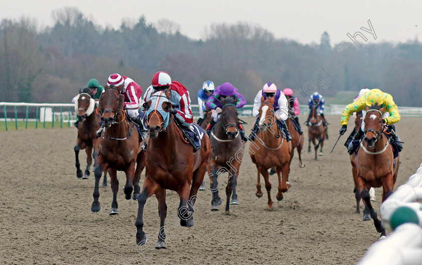 Karam-Albaari-0001 
 KARAM ALBAARI (Martin Harley) wins The Betway Handicap Div1 Lingfield 13 Jan 2018 - Pic Steven Cargill / Racingfotos.com