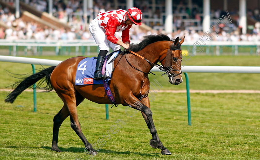 Gorak-0002 
 GORAK (Neil Callan)
Haydock 10 Jun 2023 - Pic Steven Cargill / Racingfotos.com