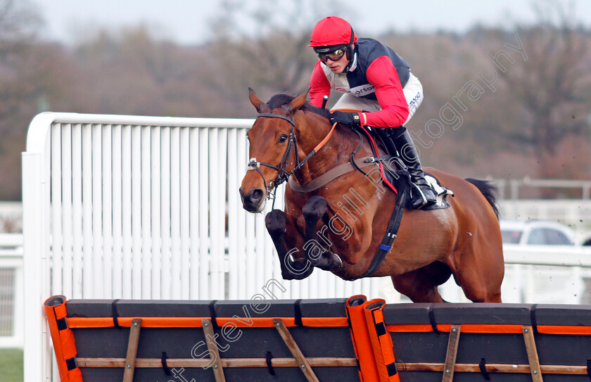 Cap-Du-Mathan 
 CAP DU MATHAN (Harry Cobden)
Ascot 19 Feb 2022 - Pic Steven Cargill / Racingfotos.com