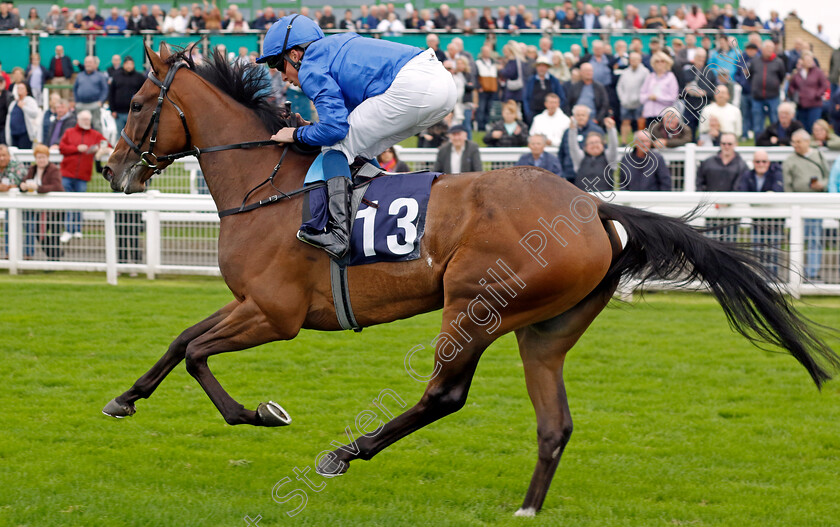 Sapphire-Seas-0006 
 SAPPHIRE SEAS (William Buick) wins The EBF Stallions John Musker Fillies Stakes
Yarmouth 19 Sep 2023 - Pic Steven Cargill / Racingfotos.com