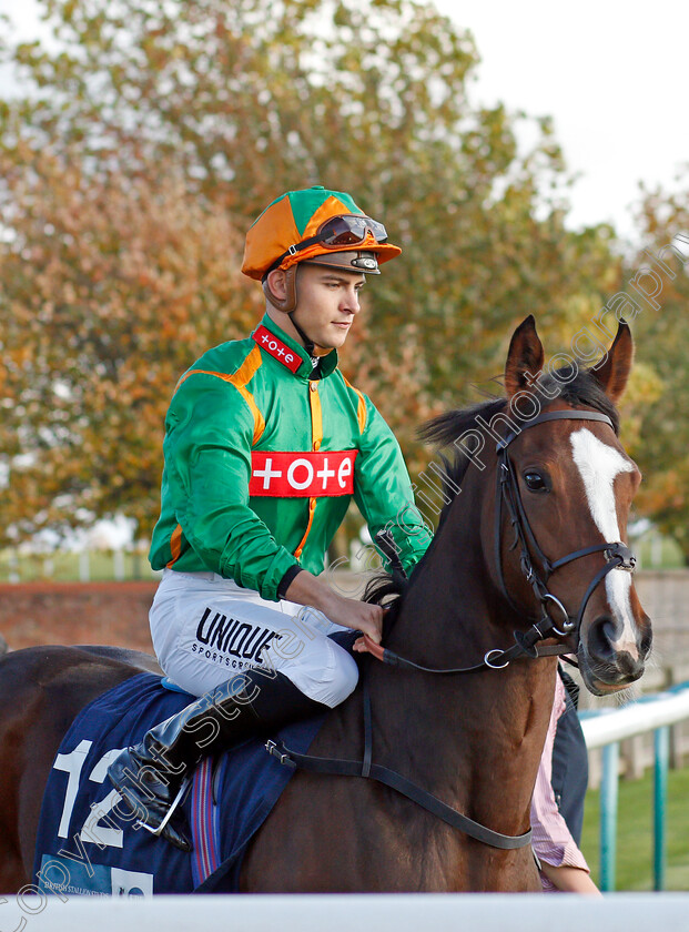 Siamsa-0001 
 SIAMSA (Thore Hammer Hansen)
Newmarket 30 Oct 2021 - Pic Steven Cargill / Racingfotos.com