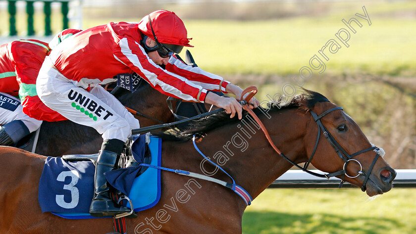 Toro-Dorado-0004 
 TORO DORADO (Luke Morris) wins The Bombardier Golden Beer Handicap
Lingfield 8 Feb 2020 - Pic Steven Cargill / Racingfotos.com