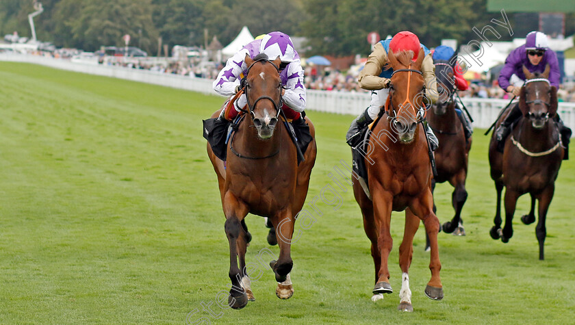 Kinross-0004 
 KINROSS (left, Frankie Dettori) beats ISAAC SHELBY (centre) in The World Pool Lennox Stakes
Goodwood 1 Aug 2023 - Pic Steven Cargill / Racingfotos.com