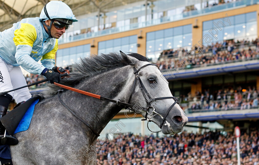 Charyn-0001 
 CHARYN (Silvestre de Sousa) wins The Queen Elizabeth II Stakes
Ascot 19 Oct 2024 - Pic Steven Cargill / Racingfotos.com