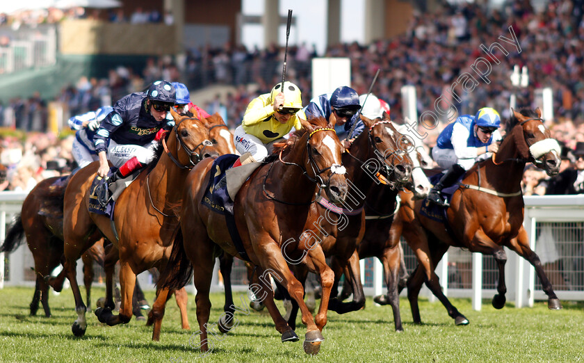 Cape-Byron-0003 
 CAPE BYRON (Andrea Atzeni) wins The Wokingham Stakes
Royal Ascot 22 Jun 2019 - Pic Steven Cargill / Racingfotos.com