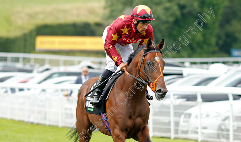 Gubbass-0001 
 GUBBASS (Sean Levey)
Goodwood 29 Jul 2021 - Pic Steven Cargill / Racingfotos.com