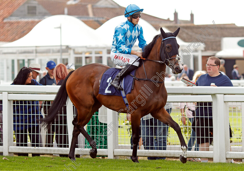 Be-Glorious-0002 
 BE GLORIOUS (Tom Marquand)
Yarmouth 16 Sep 2021 - Pic Steven Cargill / Racingfotos.com