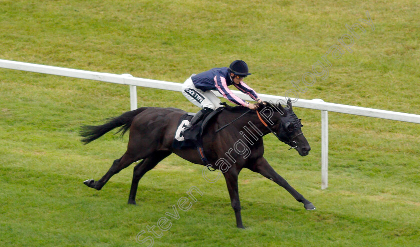 Skymax-0003 
 SKYMAX (Harry Bentley) wins The Regus Handicap
Newbury 19 Jul 2019 - Pic Steven Cargill / Racingfotos.com