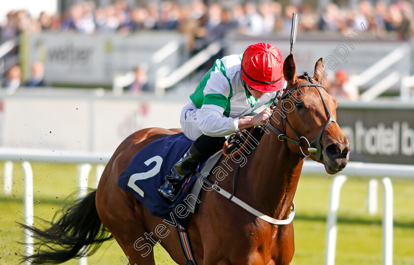 Ellthea-0004 
 ELLTHEA (Clifford Lee) wins The EBF British Stallion Studs Carrie Red Fillies Nursery Doncaster 14 Sep 2017 - Pic Steven Cargill / Racingfotos.com