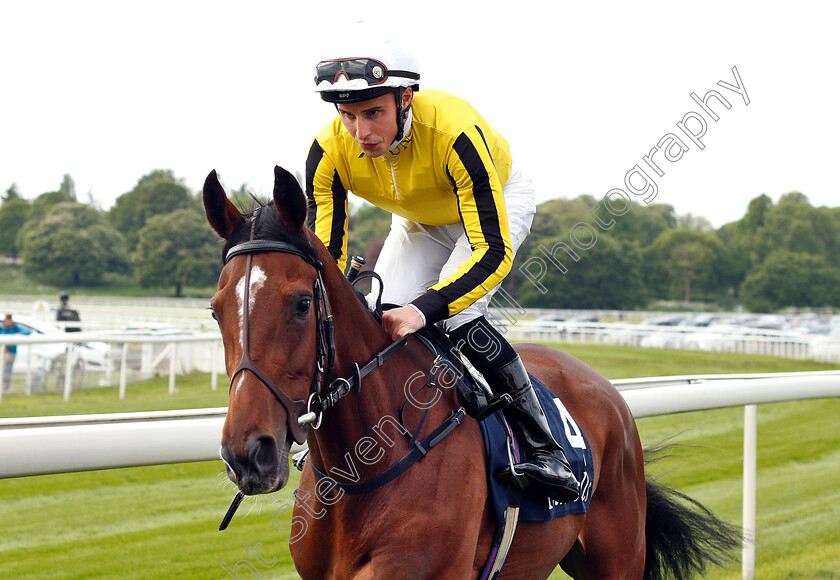 Expensive-Liaison-0001 
 EXPENSIVE LIAISON (William Buick)
York 16 May 2018 - Pic Steven Cargill / Racingfotos.com