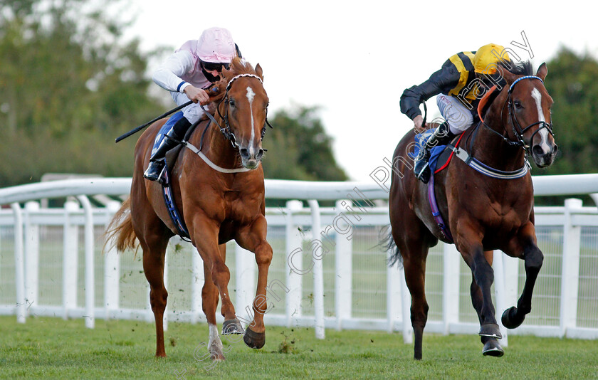 Apollo-One-0003 
 APOLLO ONE (left, Martin Harley) beats WHENTHEDEALINSDONE (right) in The Weatherbys TBA Conditions Stakes
Salisbury 1 Oct 2020 - Pic Steven Cargill / Racingfotos.com