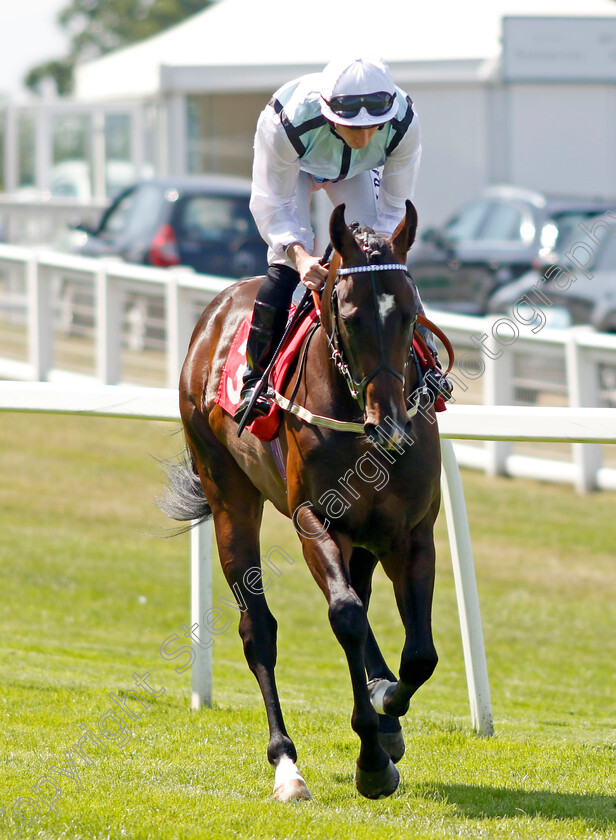 Kylian-0008 
 KYLIAN (Ryan Moore) winner of The Dragon Stakes
Sandown 7 Jul 2023 - Pic Steven Cargill / Racingfotos.com