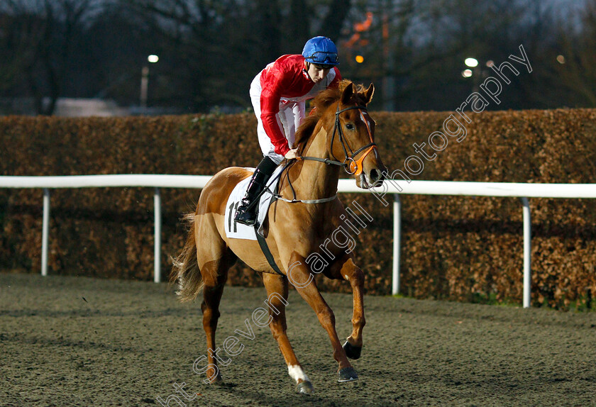 Regal-Ambition-0001 
 REGAL AMBITION (Hector Crouch)
Kempton 5 Jan 2019 - Pic Steven Cargill / Racingfotos.com