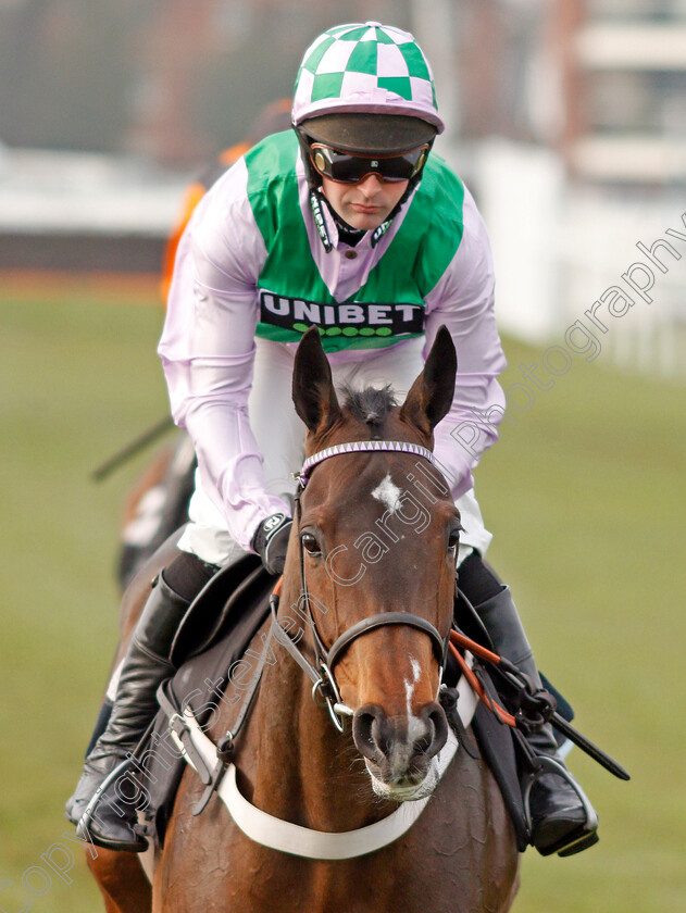 Floressa-0001 
 FLORESSA (Nico de Boinville) winner of The Ladbrokes Mares Novices Hurdle
Newbury 30 Nov 2019 - Pic Steven Cargill / Racingfotos.com