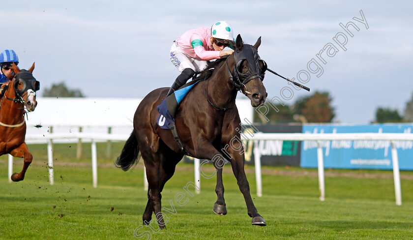 Serendipitous-Lady-0003 
 SERENDIPITOUS LADY (Harry Davies) wins The Download The Brestbet App Nursery
Yarmouth 16 Oct 2023 - Pic Steven Cargill / Racingfotos.com