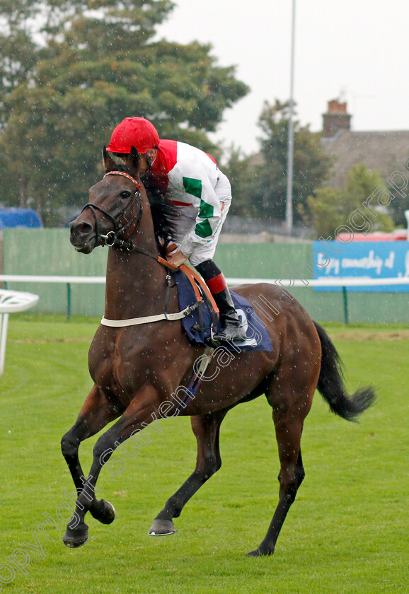 Dazzling-Dan-0001 
 DAZZLING DAN (Shane Kelly)
Yarmouth 14 Sep 2021 - Pic Steven Cargill / Racingfotos.com