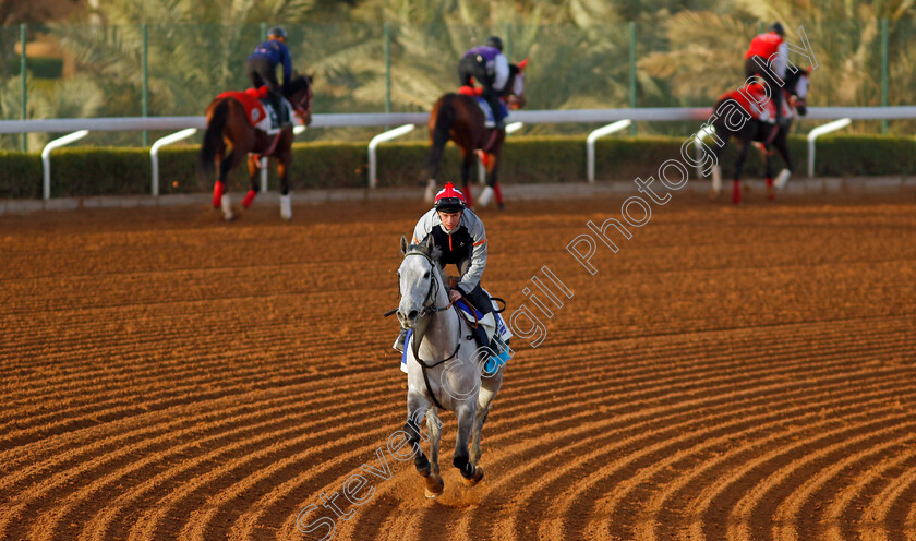 Art-Power-0003 
 ART POWER (David Allan) training for The 1351 Turf Sprint
King Abdulaziz Racecourse, Saudi Arabia 20 Feb 2024 - Pic Steven Cargill / Racingfotos.com