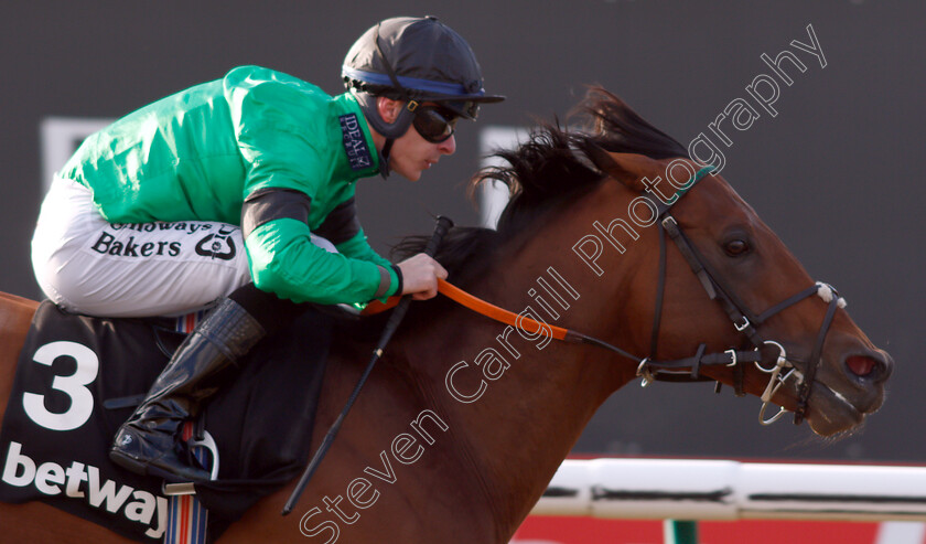 Kachy-0008 
 KACHY (Richard Kingscote) wins The Betway Cleves Stakes
Lingfield 2 Feb 2019 - Pic Steven Cargill / Racingfotos.com