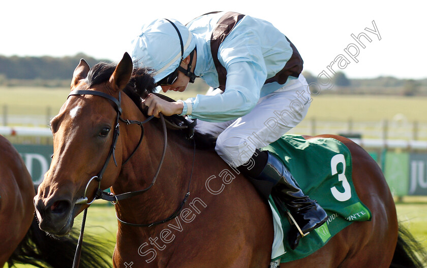 Fairyland-0007 
 FAIRYLAND (Donnacha O'Brien) wins The Juddmonte Cheveley Park Stakes
Newmarket 29 Sep 2018 - Pic Steven Cargill / Racingfotos.com