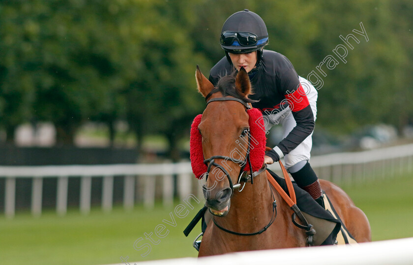 Porfin-0008 
 PORFIN (Molly Presland) winner of The racingtv.com Handicap
Newmarket 4 Aug 2023 - Pic Steven Cargill / Racingfotos.com