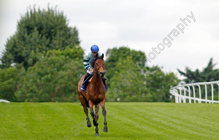 Quickthorn-0001 
 QUICKTHORN (Tom Marquand) winner of The Coral Henry II Stakes
Sandown 26 May 2022 - Pic Steven Cargill / Racingfotos.com