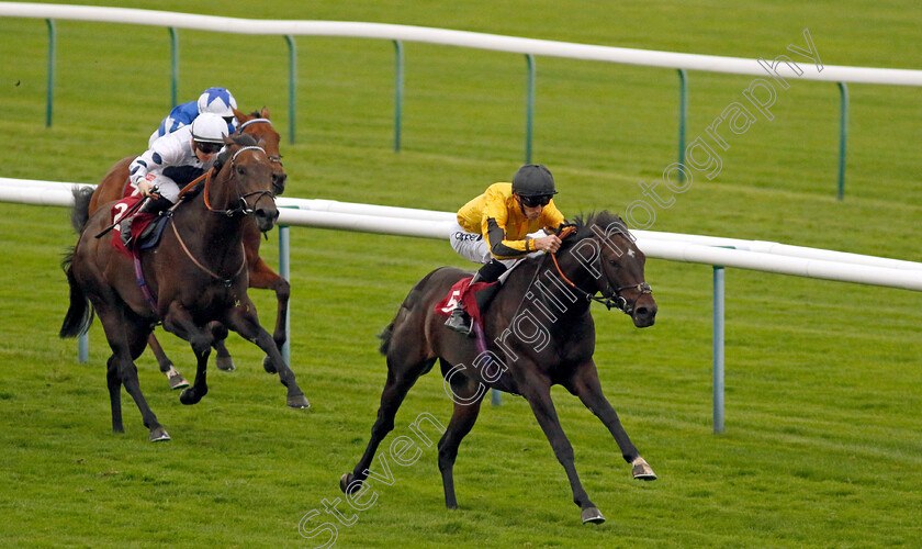 Luther-0002 
 LUTHER (Daniel Tudhope) wins The Betfair Ascendant Stakes
Haydock 7 Sep 2024 - Pic Steven Cargill / Racingfotos.com