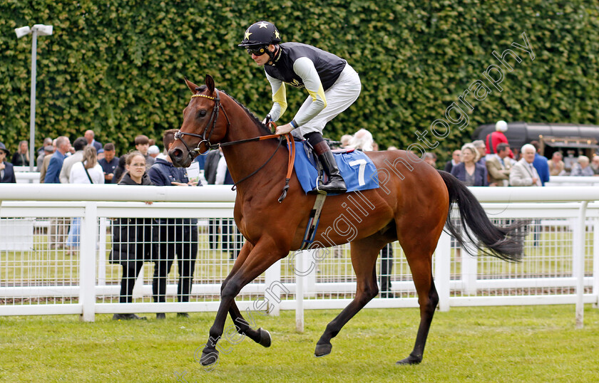 Virtue-Patience-0001 
 VIRTUE PATIENCE (Robert Havlin)
Salisbury 16 Jun 2024 - Pic Steven Cargill / Racingfotos.com