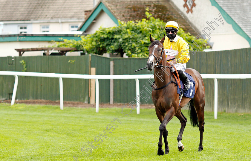 Flirty-Rascal-0001 
 FLIRTY RASCAL (Tom Marquand)
Yarmouth 25 Aug 2020 - Pic Steven Cargill / Racingfotos.com