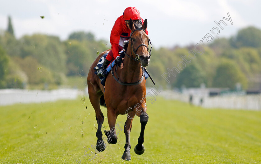 Emily-Upjohn-0005 
 EMILY UPJOHN (Frankie Dettori) wins The Tattersalls Musidora Stakes
York 11 May 2022 - Pic Steven Cargill / Racingfotos.com