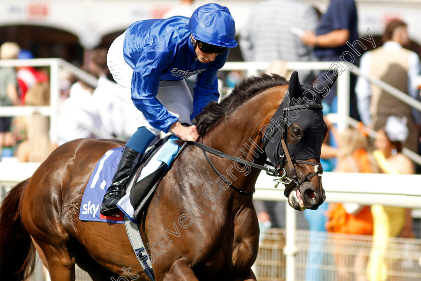 Al-Suhail-0001 
 AL SUHAIL (William Buick)
York 26 Aug 2023 - Pic Steven Cargill / Racingfotos.com