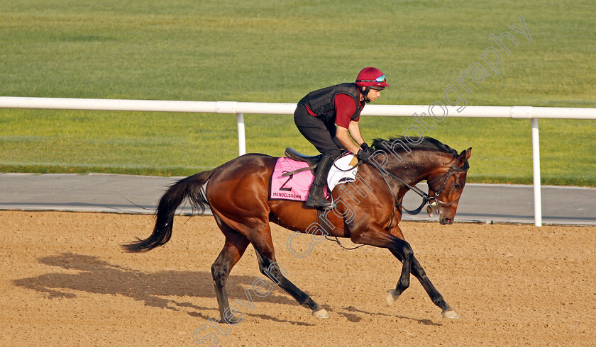 Mendelssohn-0001 
 MENDELSSOHN exercising in preparation for The UAE Derby at Meydan 29 Mar 2018 - Pic Steven Cargill / Racingfotos.com