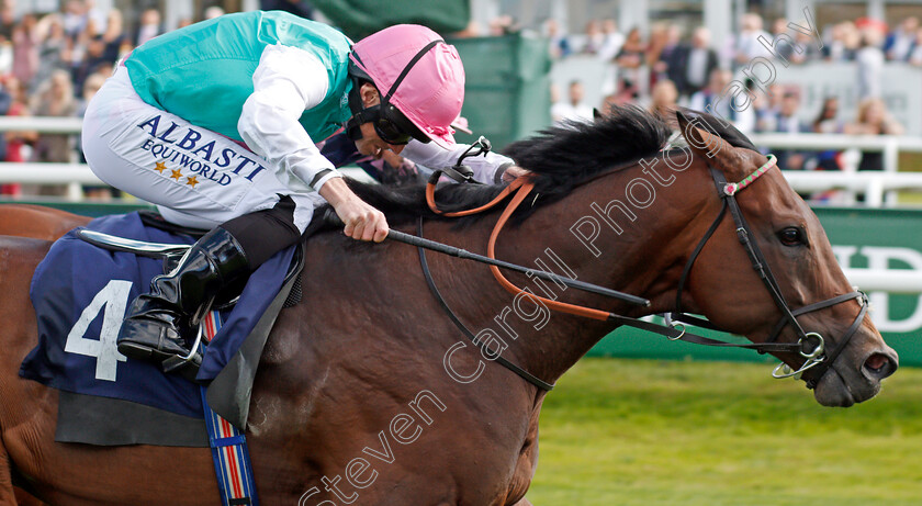 Equilateral-0005 
 EQUILATERAL (Ryan Moore) wins The DC Training And Development Services Scarbrough Stakes
Doncaster 11 Sep 2019 - Pic Steven Cargill / Racingfotos.com