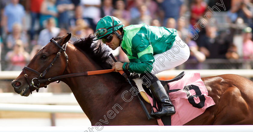 Raging-Bull-0005 
 RAGING BULL (Joel Rosario) wins The Allowance Optional Claimer
Belmont Park 8 Jun 2018 - Pic Steven Cargill / Racingfotos.com