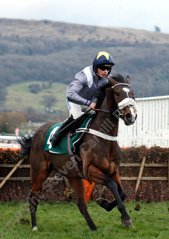 Thomas-Campbell-0001 
 THOMAS CAMPBELL (James Bowen)
Cheltenham 1 Jan 2019 - Pic Steven Cargill / Racingfotos.com