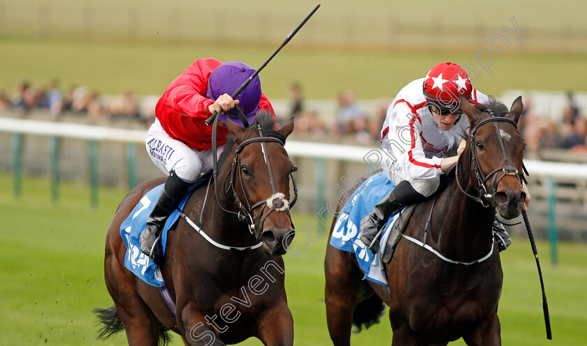 Valeria-Messalina-and-Nope-0001 
 VALERIA MESSALINA (left, Shane Foley) and NOPE (right, W J Lee)
Newmarket 11 Oct 2019 - Pic Steven Cargill / Racingfotos.com