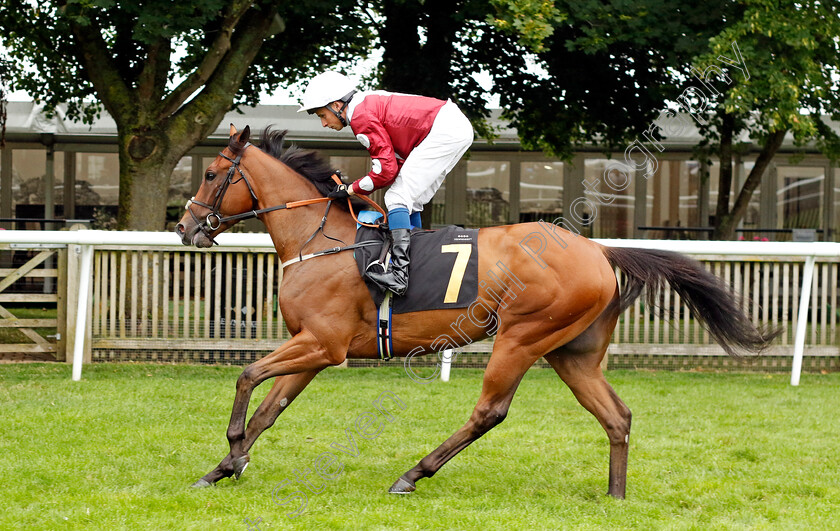 Kiaraad-0001 
 KIARAAD (William Buick)
Newmarket 5 Aug 2023 - Pic Steven Cargill / Racingfotos.com