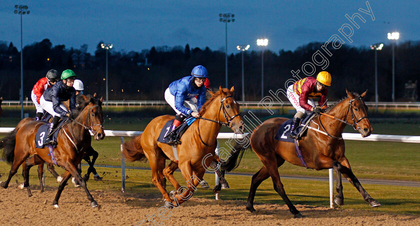 Sea-The-Shells-0002 
 SEA THE SHELLS (Franny Norton) leads ECHO POINT (centre) in early stages of The Get Your Ladbrokes Daily Odds Boost Novice Stakes
Wolverhampton 12 Mar 2021 - Pic Steven Cargill / Racingfotos.com