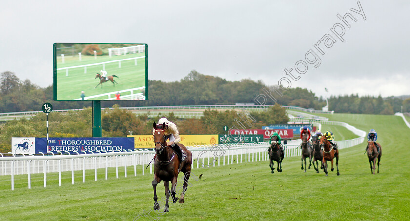 Monica-Sheriff-0001 
 MONICA SHERIFF (Tom Marquand) wins The Thoroughbred Breeders Association Fillies Handicap
Goodwood 25 Sep 2019 - Pic Steven Cargill / Racingfotos.com