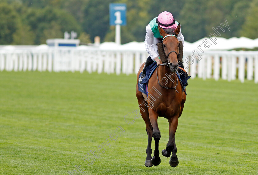 Bluestocking-0005 
 BLUESTOCKING (Rossa Ryan)
Ascot 27 Jul 2024 - Pic Steven Cargill / Racingfotos.com