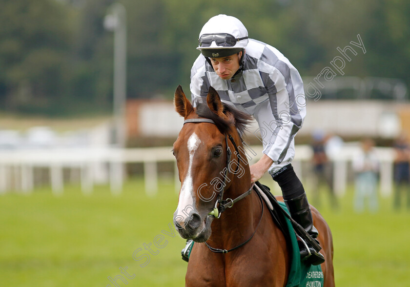 Broome-0002 
 BROOME (Ryan Moore)
York 25 Aug 2023 - Pic Steven Cargill / Racingfotos.com