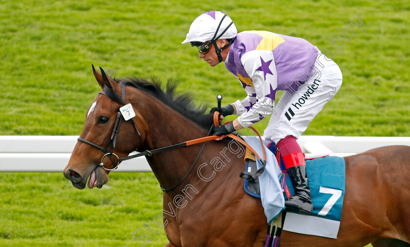 Baltic-Voyage-0001 
 BALTIC VOYAGE (Frankie Dettori)
York 18 May 2023 - Pic Steven Cargill / Racingfotos.com