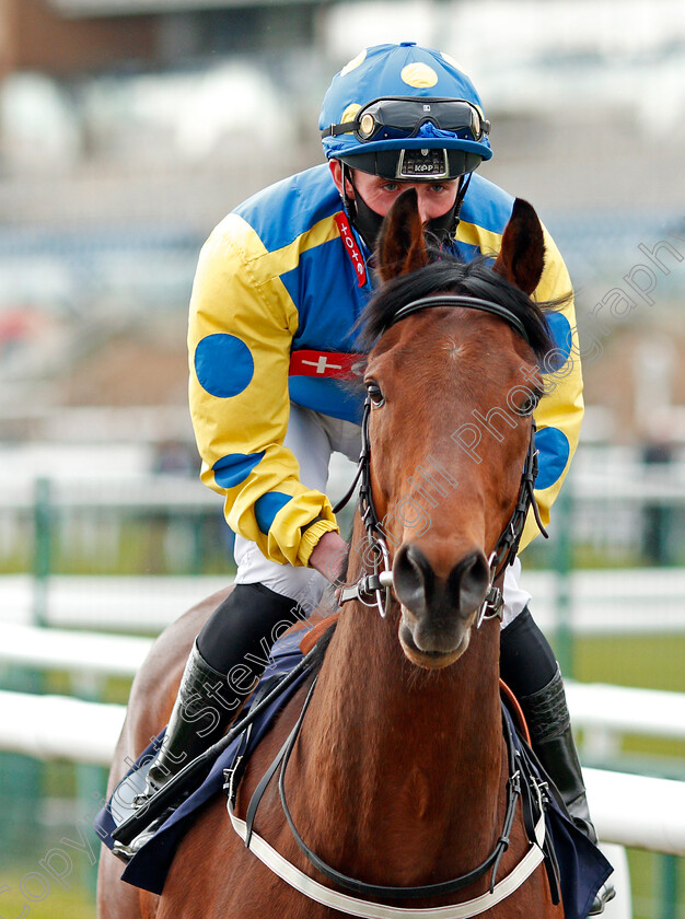 Asmund-0001 
 ASMUND (Harrison Shaw)
Doncaster 28 Mar 2021 - Pic Steven Cargill / Racingfotos.com