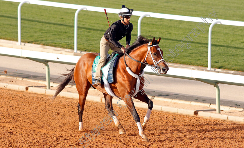 Maximum-Security-0008 
 MAXIMUM SECURITY preparing for The Saudi Cup
Riyadh Racetrack, Kingdom Of Saudi Arabia, 27 Feb 2020 - Pic Steven Cargill / Racingfotos.com