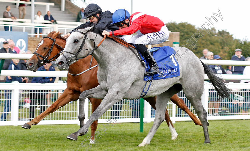 Dark-Lady-0003 
 DARK LADY (Pat Dobbs) beats MILLISLE (farside) in The Shadwell Dick Poole Stakes
Salisbury 5 Sep 2019 - Pic Steven Cargill / Racingfotos.com