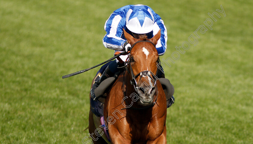 Cleonte-0007 
 CLEONTE (Silvestre De Sousa) wins The Queen Alexandra Stakes
Royal Ascot 22 Jun 2019 - Pic Steven Cargill / Racingfotos.com