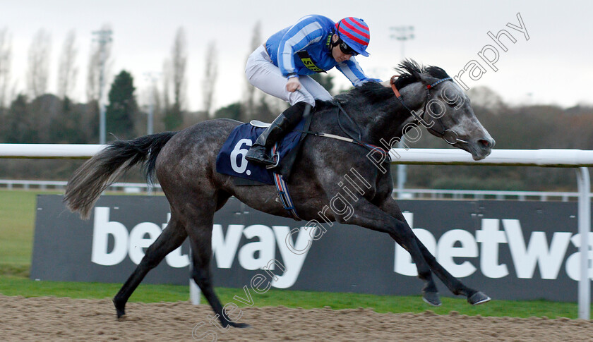 Delicious-0006 
 DELICIOUS (Callum Shepherd) wins The Ladbrokes Bet £5 Get £20 Nursery
Wolverhampton 28 Nov 2018 - Pic Steven Cargill / Racingfotos.com