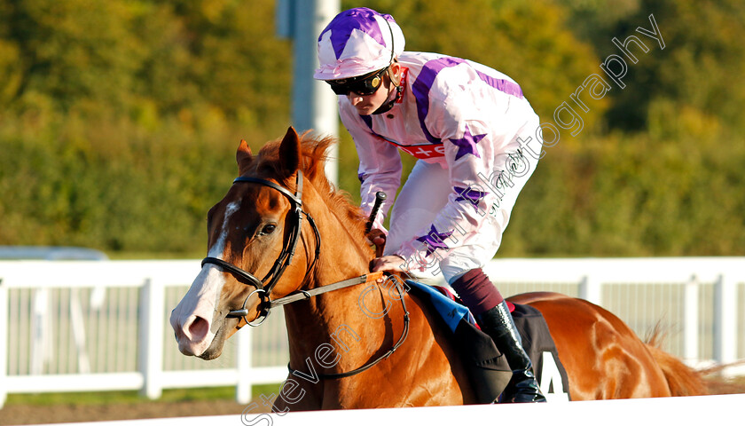 Girls-Night-Out-0001 
 GIRLS NIGHT OUT (Rob Hornby)
Chelmsford 3 Oct 2024 - Pic Steven Cargill / Racingfotos.com