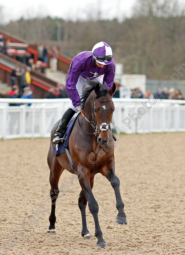 Dayman-0001 
 DAYMAN (Rossa Ryan) winner of The Mansionbet Beaten By A Head Novice Stakes
Wolverhampton 12 Mar 2022 - Pic Steven Cargill / Racingfotos.com